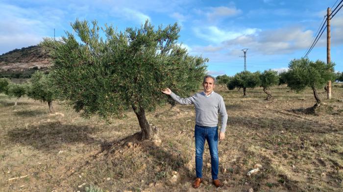 Se abona 22,5 millones de euros a los agricultores conquenses por el anticipo de ecorregímenes de la PAC y las ayudas asociadas a la superficie