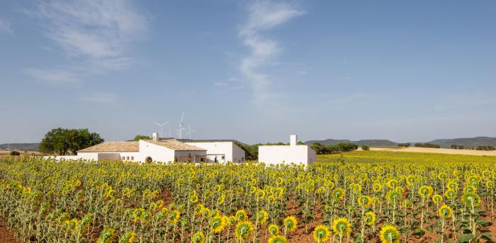 La 'Casa de Campo' de Zafra de Záncara, Premio COACM Arquitectura Obra Nueva Vivienda