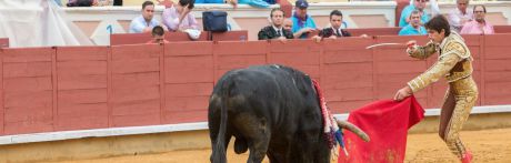 Un gran Castella desoreja un toro de José Vázquez de vuelta al ruedo en Cuenca
 