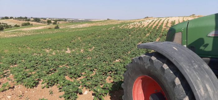 La Junta ha abonado 10,4 millones de euros a cerca de 16.000 agricultores y ganaderos de la provincia en un nuevo pago de la PAC
