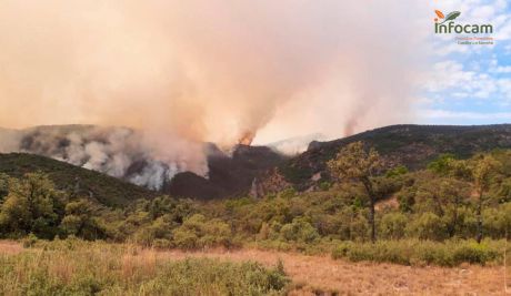 Siete medios y 38 personas trabajan para extinguir un incendio en Fuentelespino