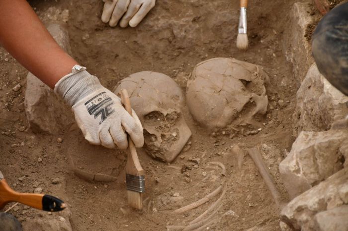 Descubrimientos en Noheda ofrecen nuevas perspectivas sobre la vida en la antigua villa romana