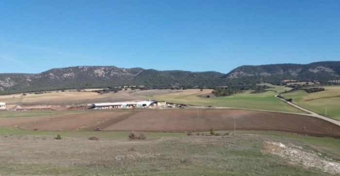 Terrenos previstos donde se ubicará el Parque Científico Tecnológico de Los Palancares