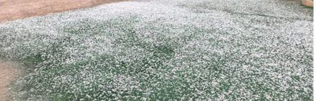 Daños en Graja de Iniesta por una tormenta de lluvia y granizo