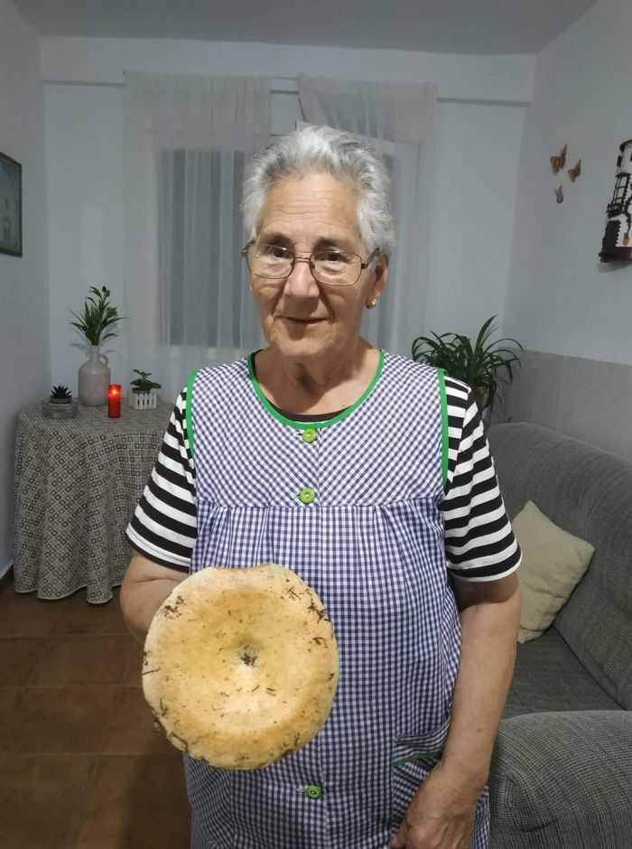 La Guardia Civil reanuda la búsqueda de una anciana desaparecida en Cañada del Hoyo tras las tormentas