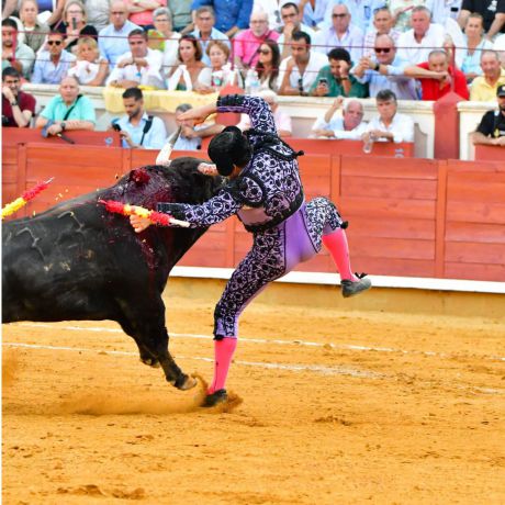 Galería de imágenes San Julián 2024 | 3ª de la Feria Taurina