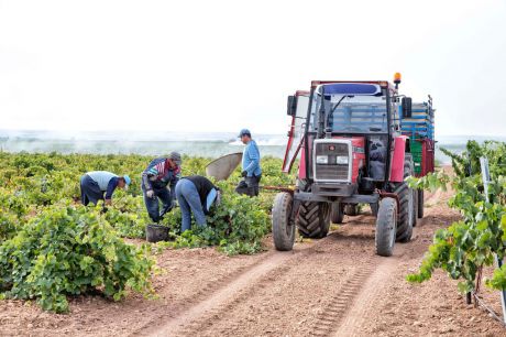 Relevo generacional y agua: los retos estructurales destacados en el Día de la Agricultura