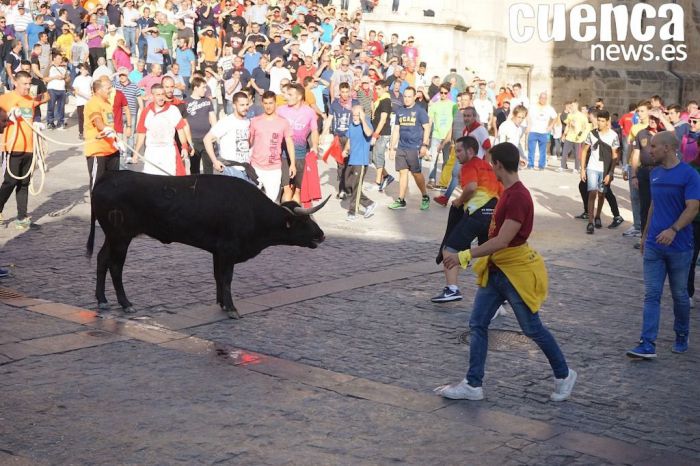 San Mateo contará este año con 16 vaquillas, 4 de ellas patrocinadas por asociaciones y empresas