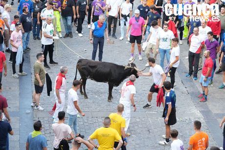 Video San Mateo | 20 de septiembre. Pasodobles y vaquilla