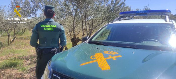 Guardia Civil