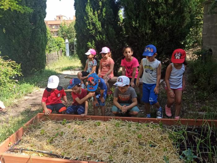 Actividades lúdico-educativas “refrescantes” han conformado el proyecto Diviértete Aprendiendo estival