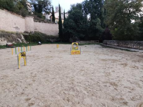 Cuenca en Marcha propone crear áreas caninas en diferentes zonas de la ciudad