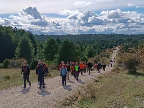 El Circuito de Senderismo de la Diputación de Cuenca inaugura el nuevo y atractivo recorrido del sendero PR-CU 90 “Hoz del Alonjero y puntal del Castillo de los Siete Condes”