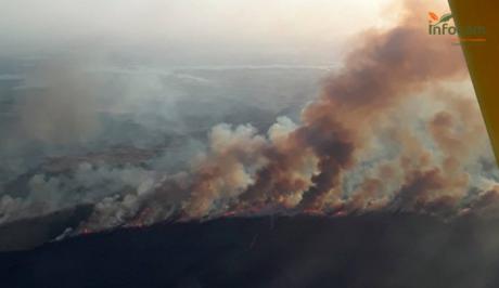 El incendio de Valverdejo afecta a 1.500 hectáreas e incorpora a la UME en las labores de extinción