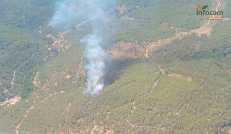 Controlado el incendio forestal en Enguídanos