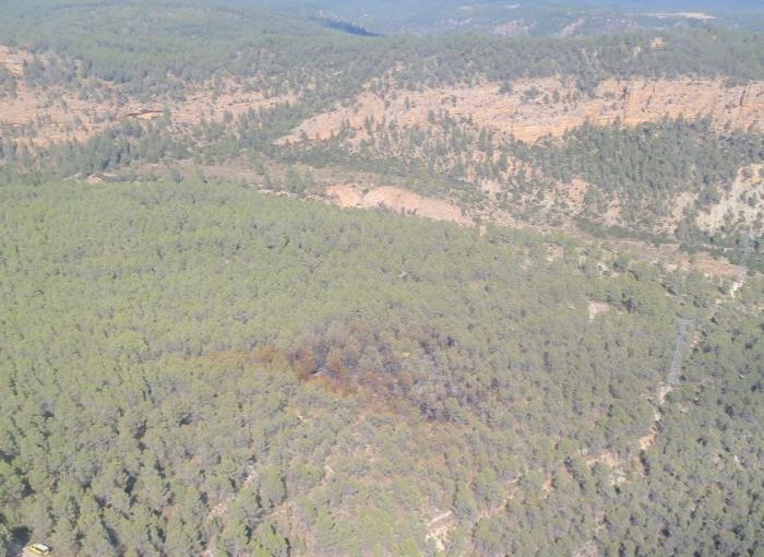 Extinguido el incendio forestal en Enguídanos