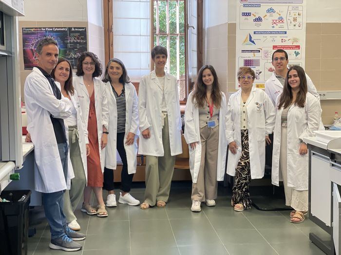 Una investigación de la UCLM avanza en la generación de nuevos fármacos para el tratamiento del cáncer