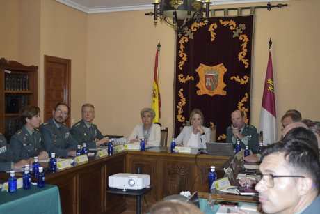 Tolón resalta el compromiso de las fuerzas de seguridad en la defensa de los derechos y libertades de los ciudadanos