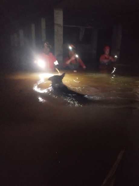 La Diputación de Cuenca moviliza más de 50 efectivos para ayudar a los afectados por inundaciones desde el 29 de octubre