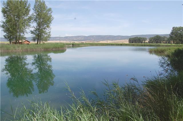 La Consejería de Agricultura inicia el pago de más de 1 millón de euros a la apicultura para mejorar la biodiversidad en zonas naturales