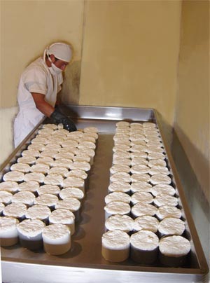 La Asociación de fabricantes de quesos de Cuenca denuncia la falta de financiación