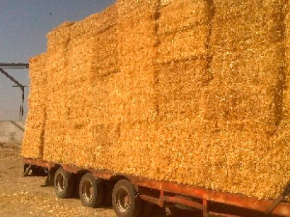 Fallece un hombre en Valdepeñas tras caerle encima alpacas de paja