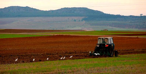 Soriano: “Castilla-La Mancha ya está trabajando en la negociación para el reparto de fondos y la aplicación de la PAC en España”