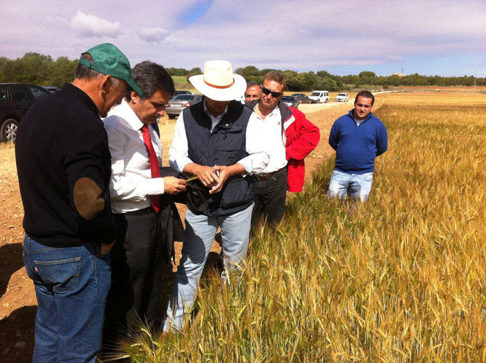 Pardo: “Los sectores agrícola y ganadero son una prioridad  para el Gobierno de Castilla-La Mancha”