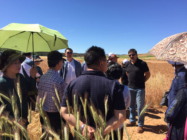 Corea del Sur se interesa por la agricultura en la provincia de Cuenca