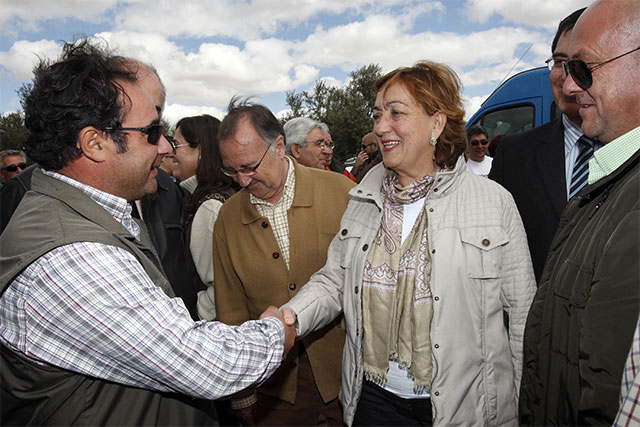 Agricultura solicita al Ministerio un segundo almacenamiento privado del aceite para incrementar la cotización de la aceituna 