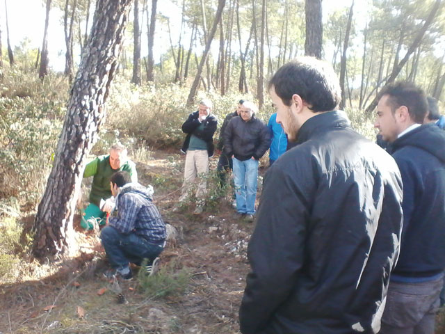 Los resineros de la comarca de la Serranía se forman sobre resinación de manera teórica y práctica