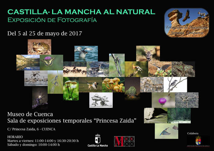 La sala de exposiciones temporales del Museo de Cuenca acogerá una exposición de fotografías sobre la riqueza natural de Castilla-La Mancha