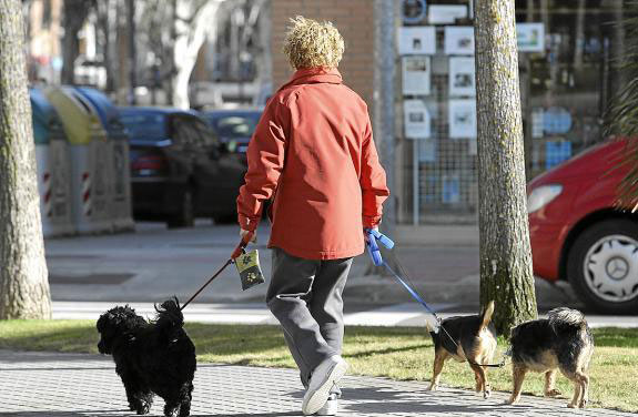 Sancionan a un ciudadano por no recoger los excrementos de su perro