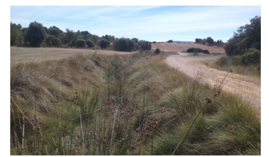 La Confederación Hidrográfica del Júcar acondicionará los arroyos Tejero, Del Puente y Rambla Aguachares en Nohales a instancias del Ayuntamiento