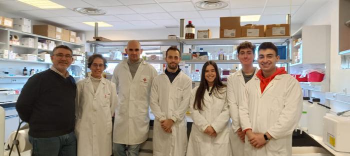 Un equipo de investigación de la UCLM y el CSIC demuestra que un nuevo antitumoral potencia el efecto de la radioterapia