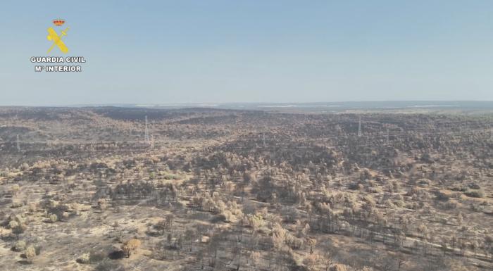 Identifican al responsable del incendio forestal en Gabaldón, quien se enfrenta a cargos por delito imprudente