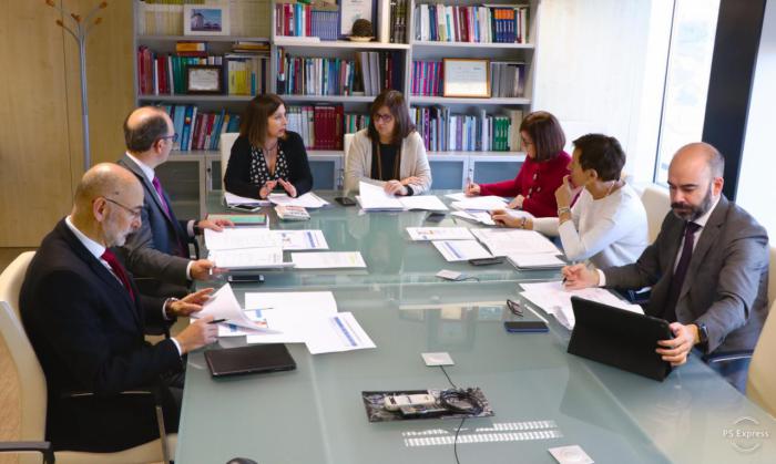 El Comité de Dirección de la Red de Personas Expertas y Profesionales aprueba las acciones a desarrollar en 2019 dentro del Plan de Salud Mental de Castilla-La Mancha
