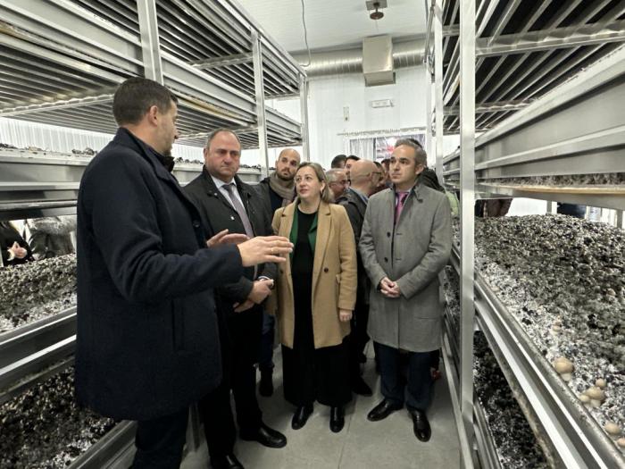 Nace 'Hongos de La Manchuela', una nueva figura de calidad agroalimentaria de la provincia